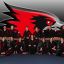 SEMO Gymnastics
